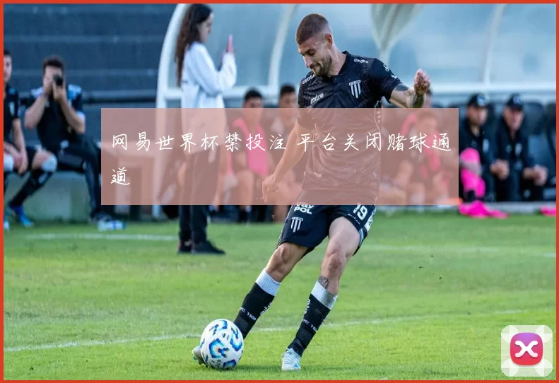 网易世界杯禁投注 平台关闭赌球通道