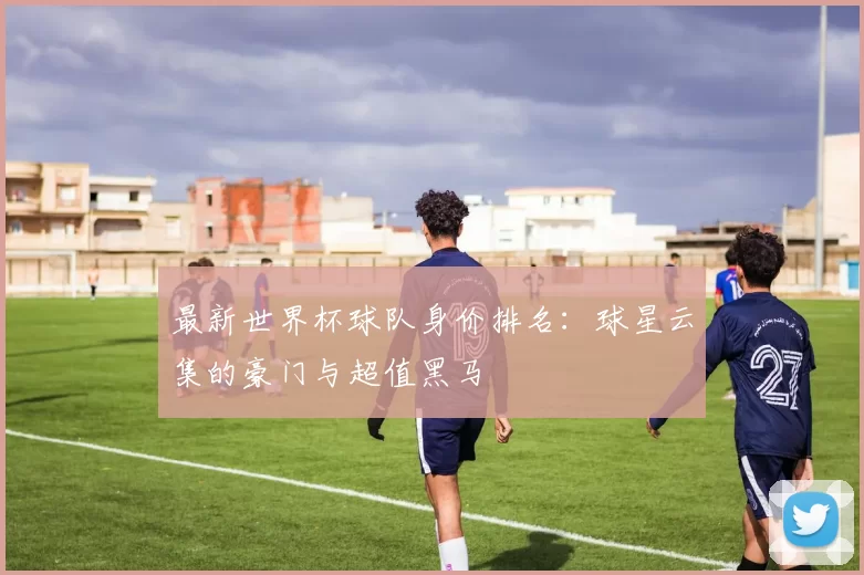 最新世界杯球队身价排名:球星云集的豪门与超值黑马