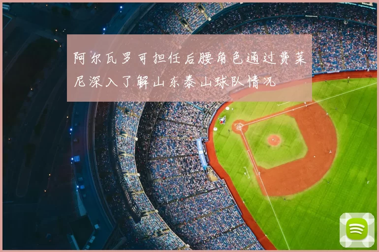 阿尔瓦罗可担任后腰角色通过费莱尼深入了解山东泰山球队情况