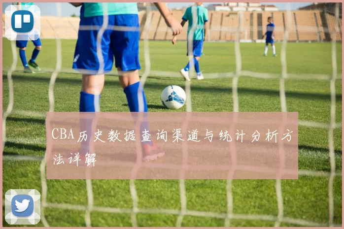 CBA历史数据查询渠道与统计分析方法详解