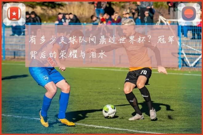 有多少支球队问鼎过世界杯?冠军背后的荣耀与泪水