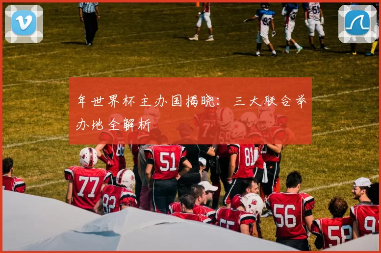 年世界杯主办国揭晓:三大联合举办地全解析
