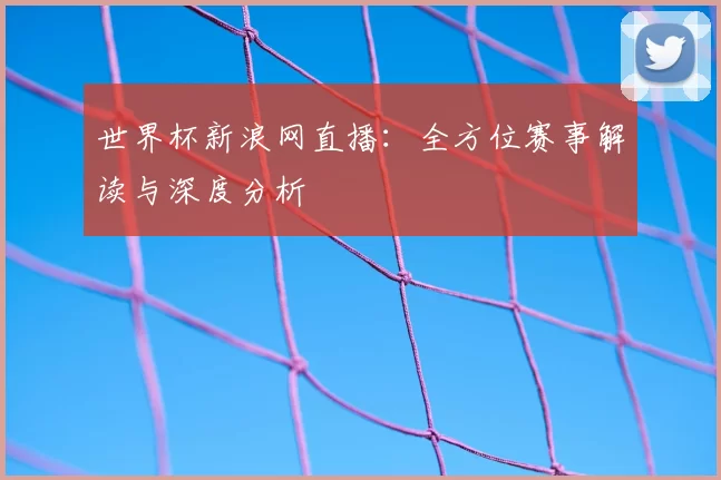 世界杯新浪网直播:全方位赛事解读与深度分析