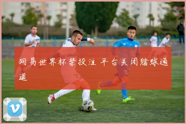 网易世界杯禁投注 平台关闭赌球通道