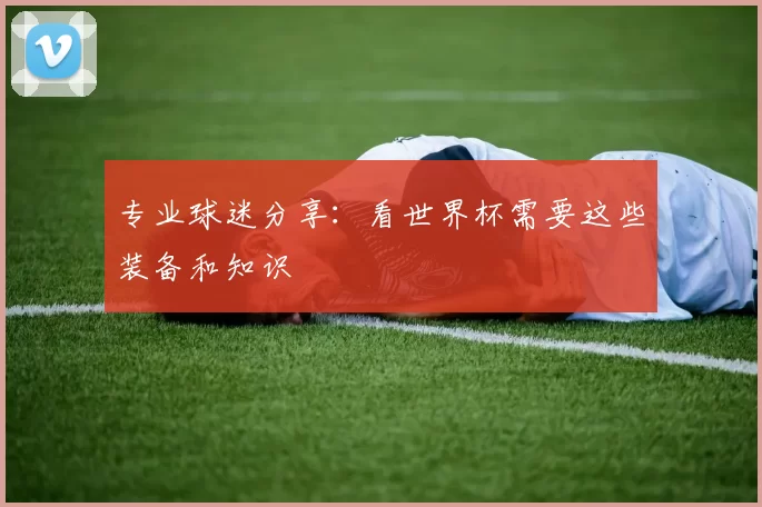 专业球迷分享：看世界杯需要这些装备和知识