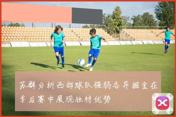 苏群分析西部球队强弱各异掘金在季后赛中展现独特优势
