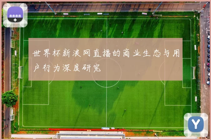 世界杯新浪网直播的商业生态与用户行为深度研究