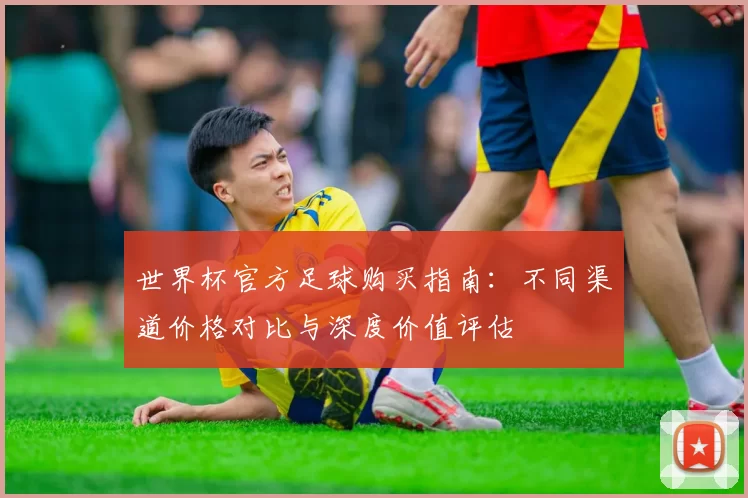 世界杯官方足球购买指南:不同渠道价格对比与深度价值评估